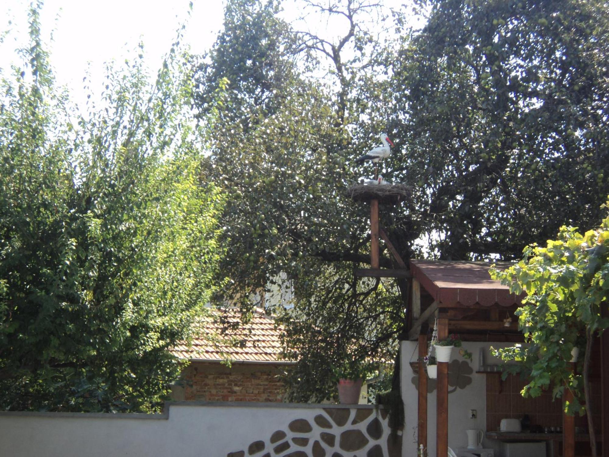 Guest House Drazhev Obzor Exterior photo